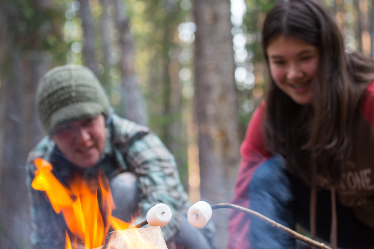 two people roast marshmallows over a fire