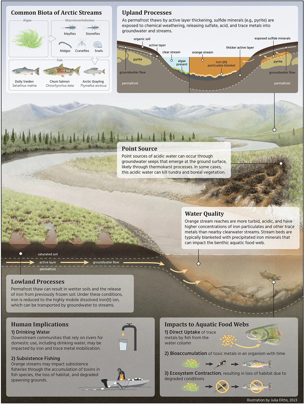 Illustration of an Arctic river flowing down from the mountains, with inset boxes explaining the processes.