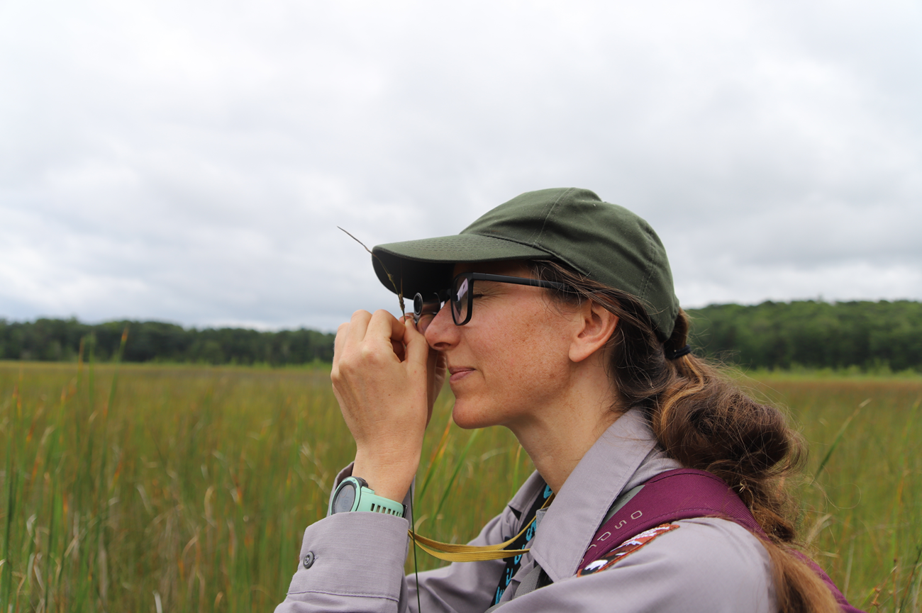 A ranger with glasses uses a small hand lens to identify a grass-like plant. Behind her is an open field and a cloudy sky.