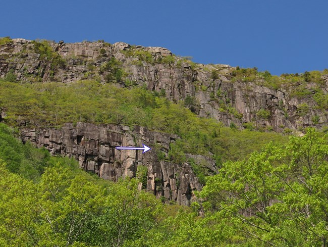 A sheer cliff with thin strips of vegetation and a white arrow marking the nest
