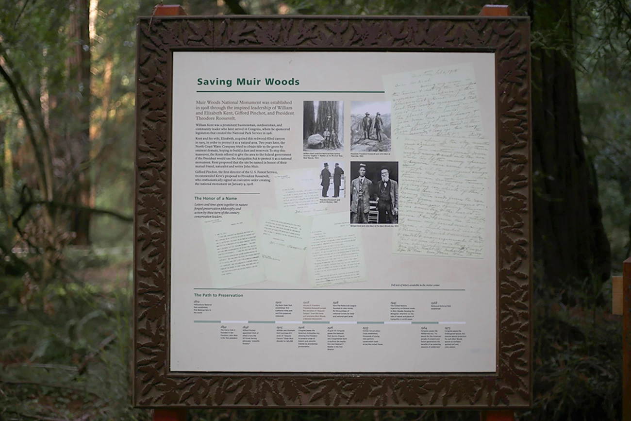 The "Saving Muir Woods" sign, original timeline in white