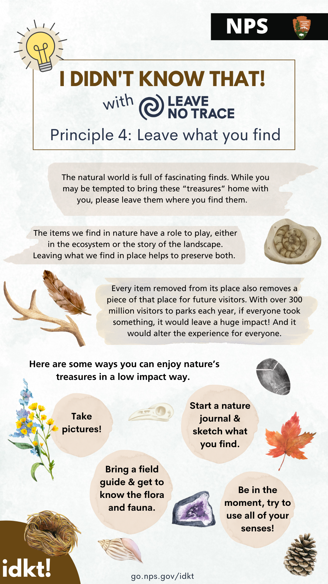 an infographic for Leave No Trace Principle 4: Leave What You Find