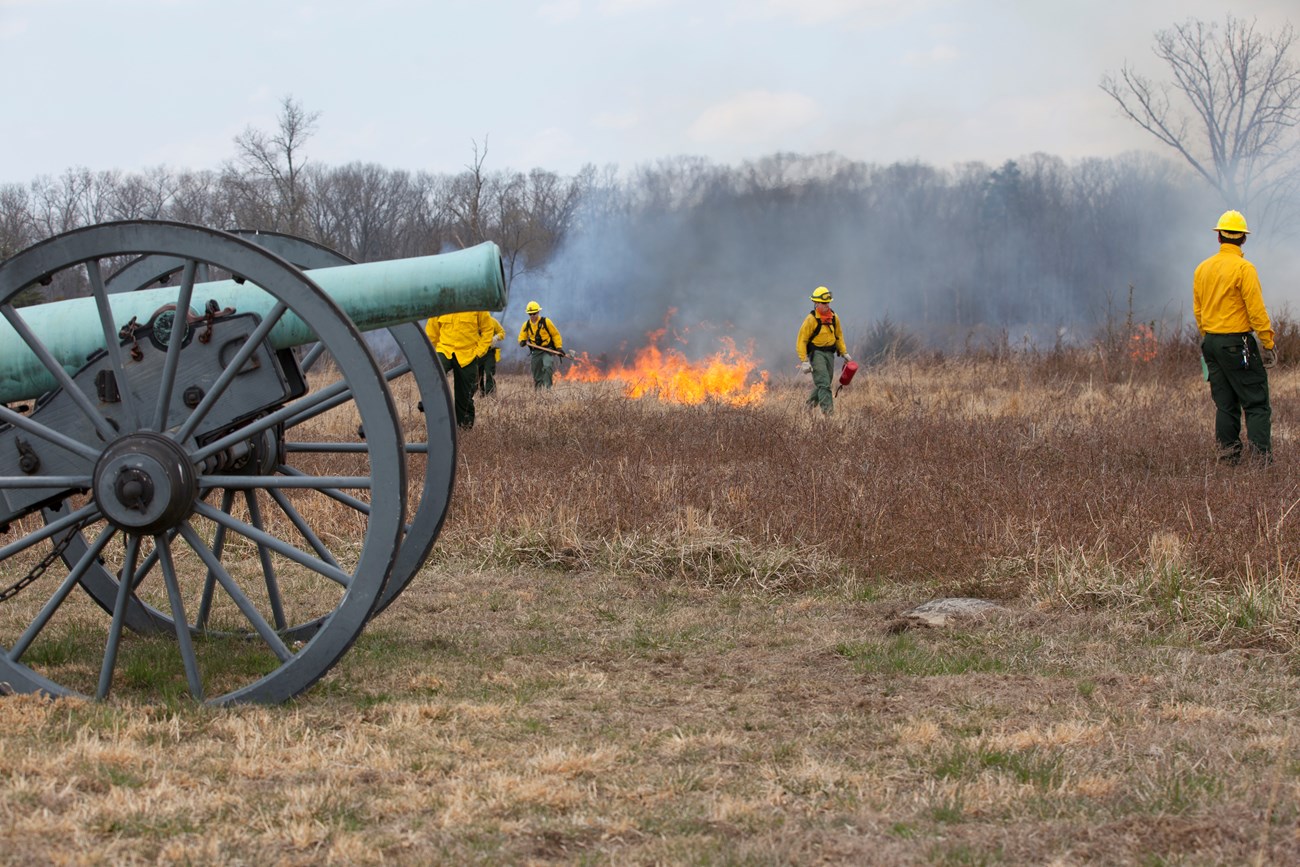 Several wildland firefighters near a historic cannon