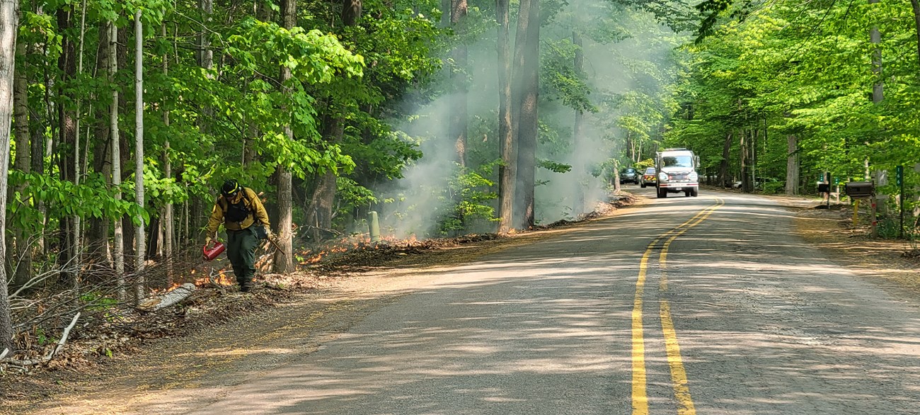 A wildland firefighter using a drip torch walks along the side of the road igniting leaves and brush on the ground with a large white firetruck following behind.