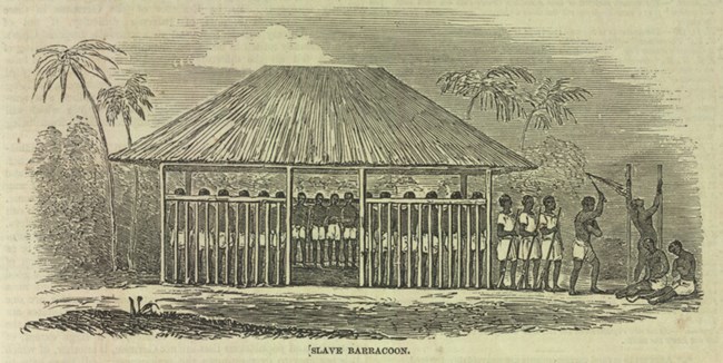 A palm roofed jail with enslaved people chained to the walls and guards lashing people.