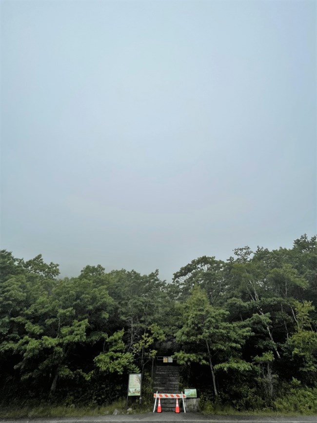 A closed trail barricaded with traffic cones in front of a foggy forest