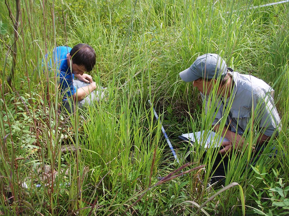 Two people sitting on the ground, examining a vegetation monitoring plot and recording data