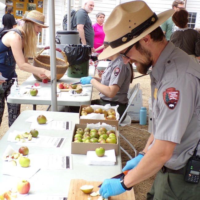 A ranger cuts apples behind a table while visitors browse nearby.