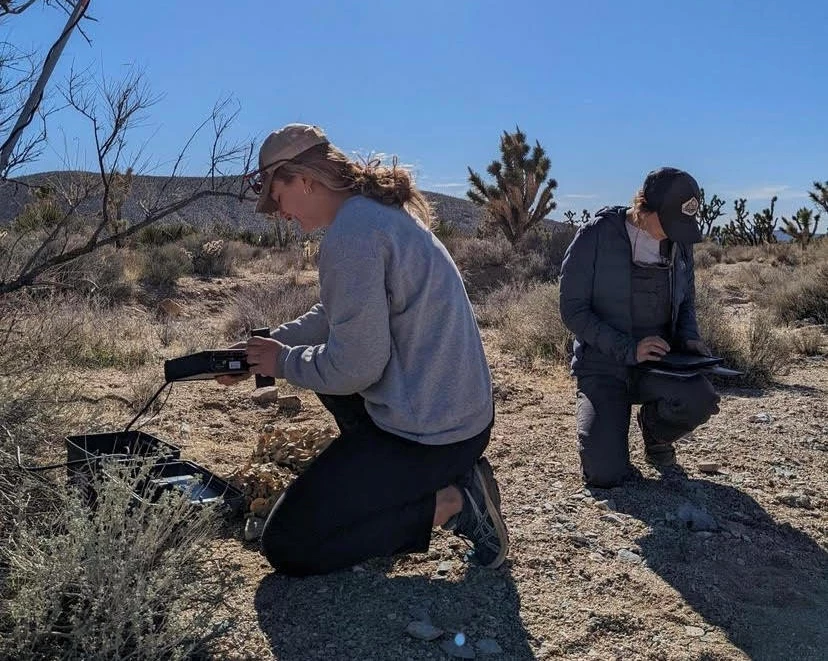 Two woman in desert landscape crouch down and hold electronic bat monitors, setting them up to record bat calls.