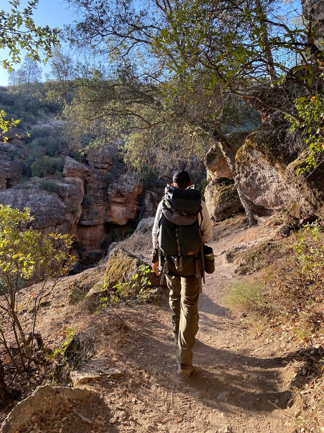 Biologist hiking with large backpack in early morning sun