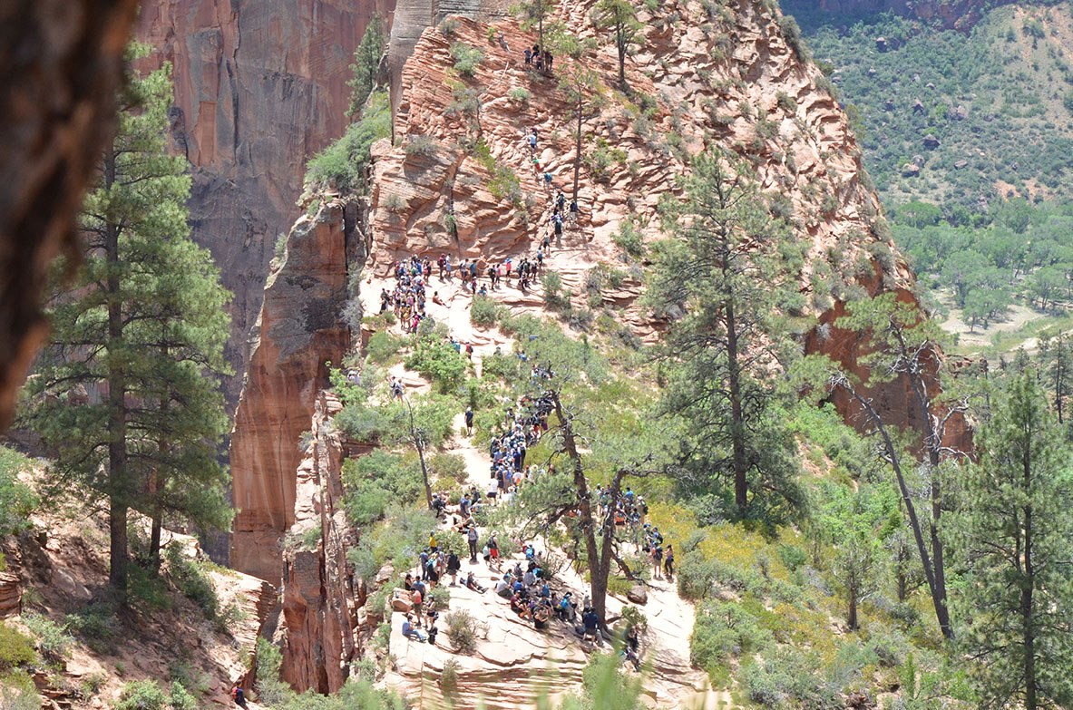 crowds of people make their way up the steep angels landing trail