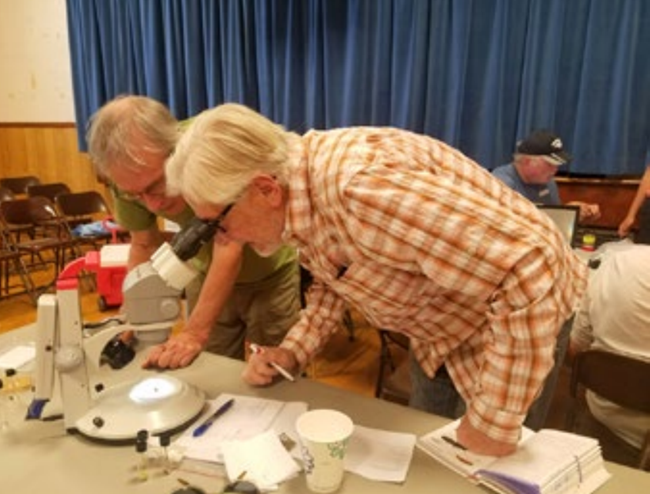 Two participants looking in a microscope to see their finds better!