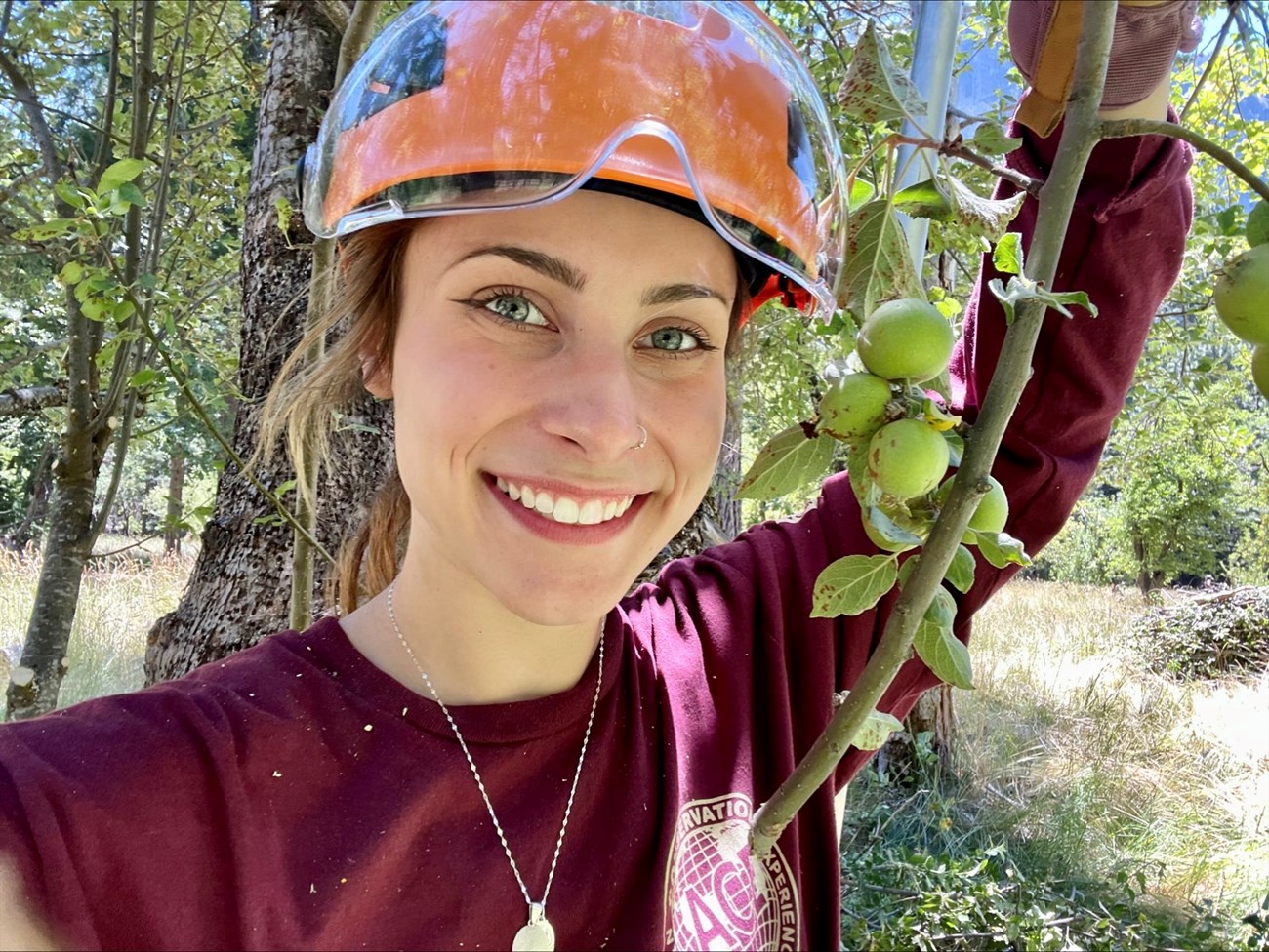 A smiling young woman with a hard hat holds a small branch with fruit on it while standing in a forested area.