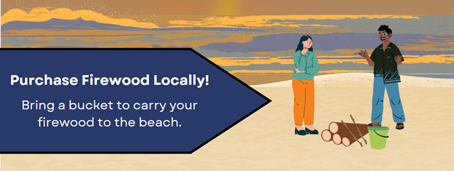 Infographic of two people standing on a beach with wood logs and a bucket.
