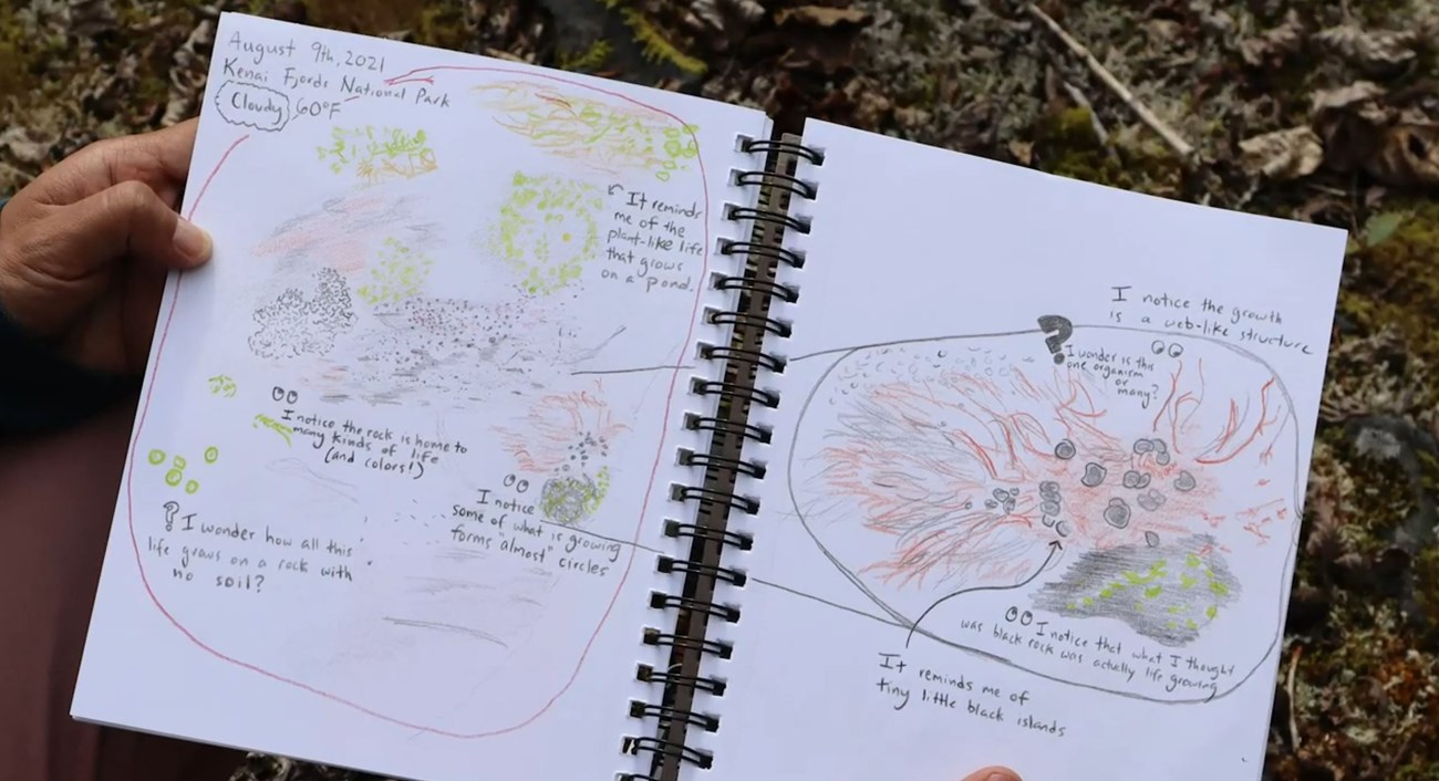 hands hold a nature journal with sketches of mosses and lichens with notes and observations.