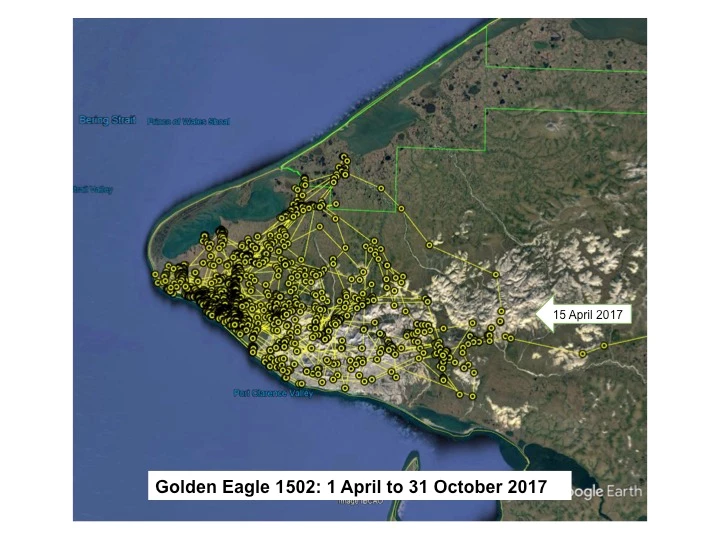 Map of Golden Eagle 1502 locations on the Seward Peninsula from 1 April to 31 October 2016. One arrow labeled 9 May 2016 indicates the eagle’s arrival to the general area.