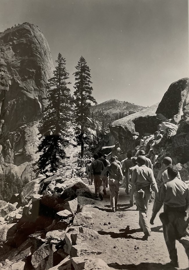 Army soldiers in uniform hiking along a tree-lined trail