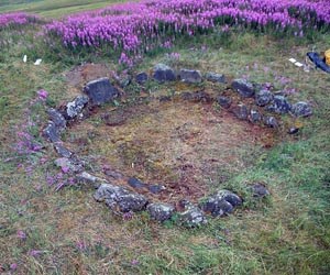 photo Ring of stones surrounded by wildflowers.