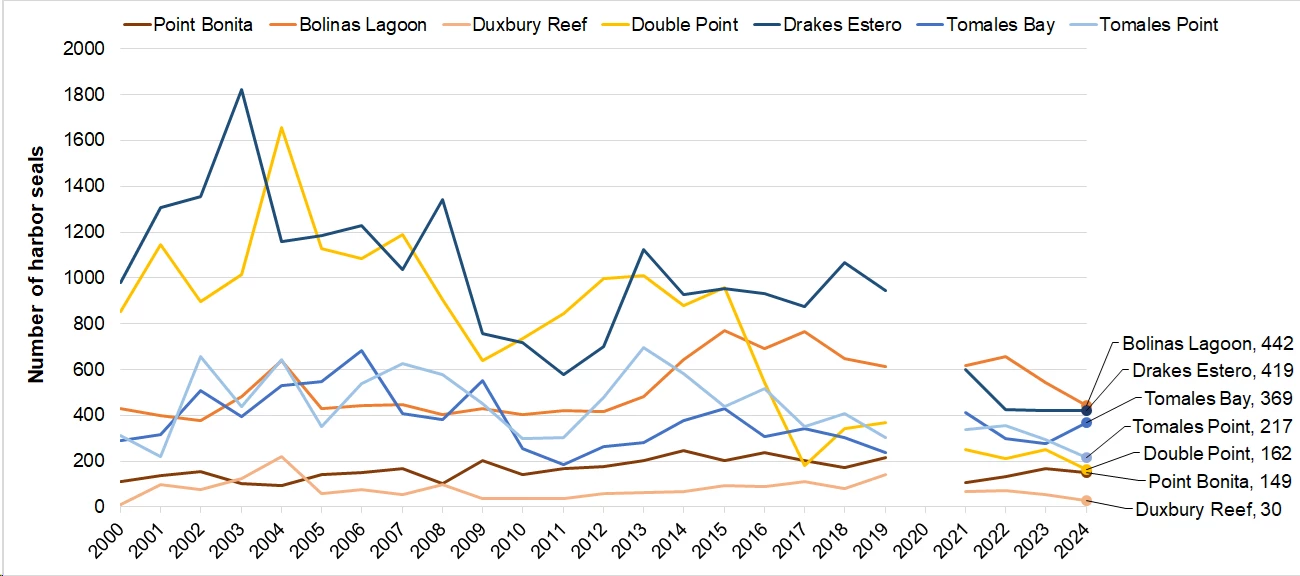 Line graph of harbor seal pup counts at 7 sites. Duxbury Reef has the lowest counts, especially in 2024. Bolinas Lagoon has the highest 2024 molt count, although in most previous years it has been exceeded by one or both of Drakes Estero and Double Point.