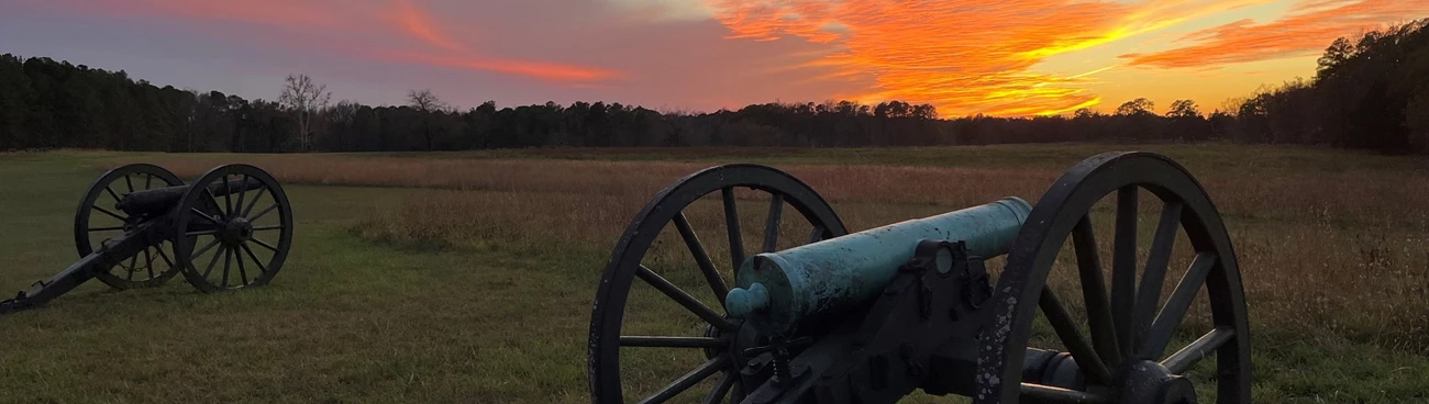 Cannons pointing out towards a pink sunset