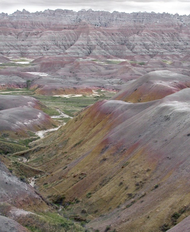 Eroded yellow and red mounds under a pale sky
