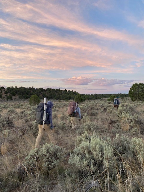Three people walking away from viewer through sagebrush with sunrise pink clouds in sky