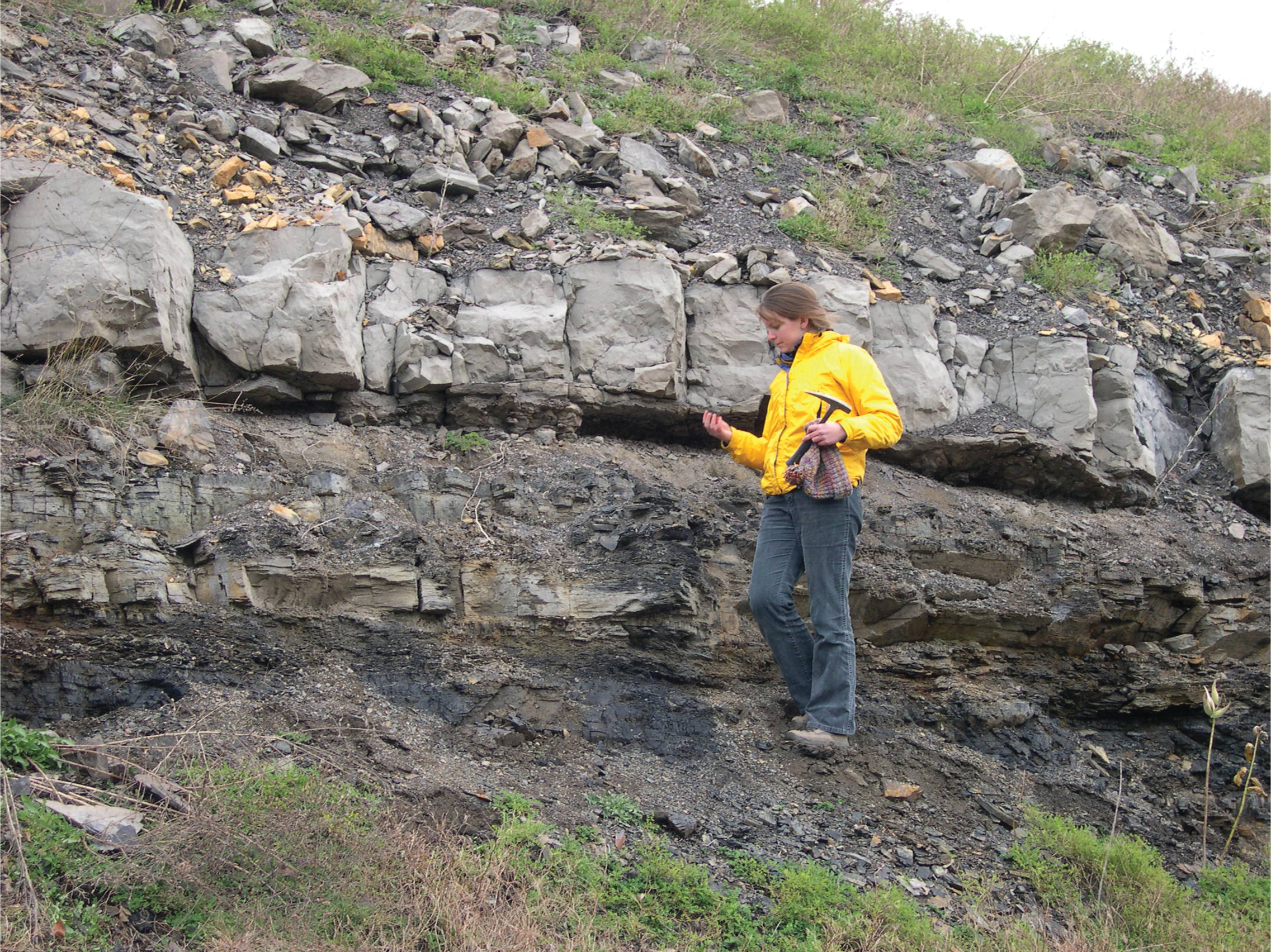 Geologic Mapping: Photograph of researcher working on geologic mapping of Pennsylvanian-age strata
in eastern West Virginia. Photograph by Christopher S. Swezey, U.S. Geological Survey.
