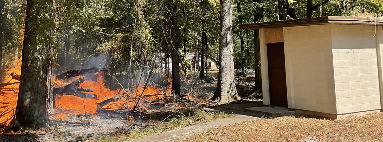 Flames consume dead and down wood and logs on the forest floor near structures.