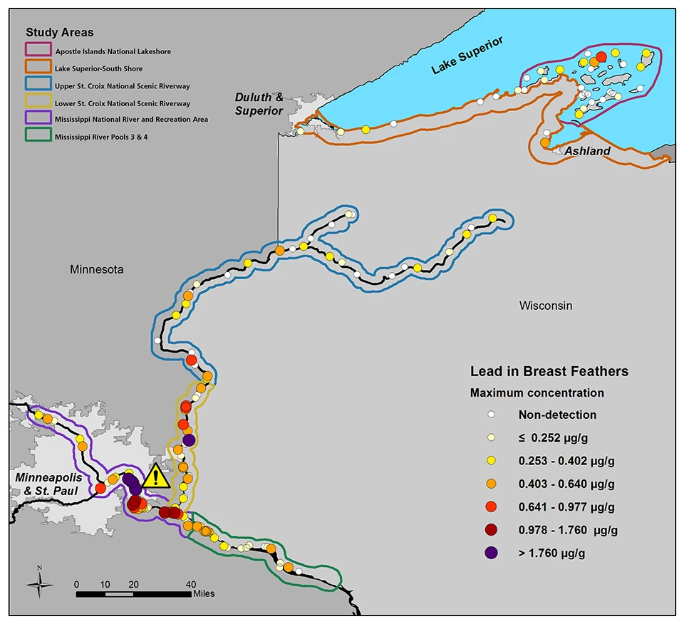 Map showing distribution of lead levels in eaglet feathers.