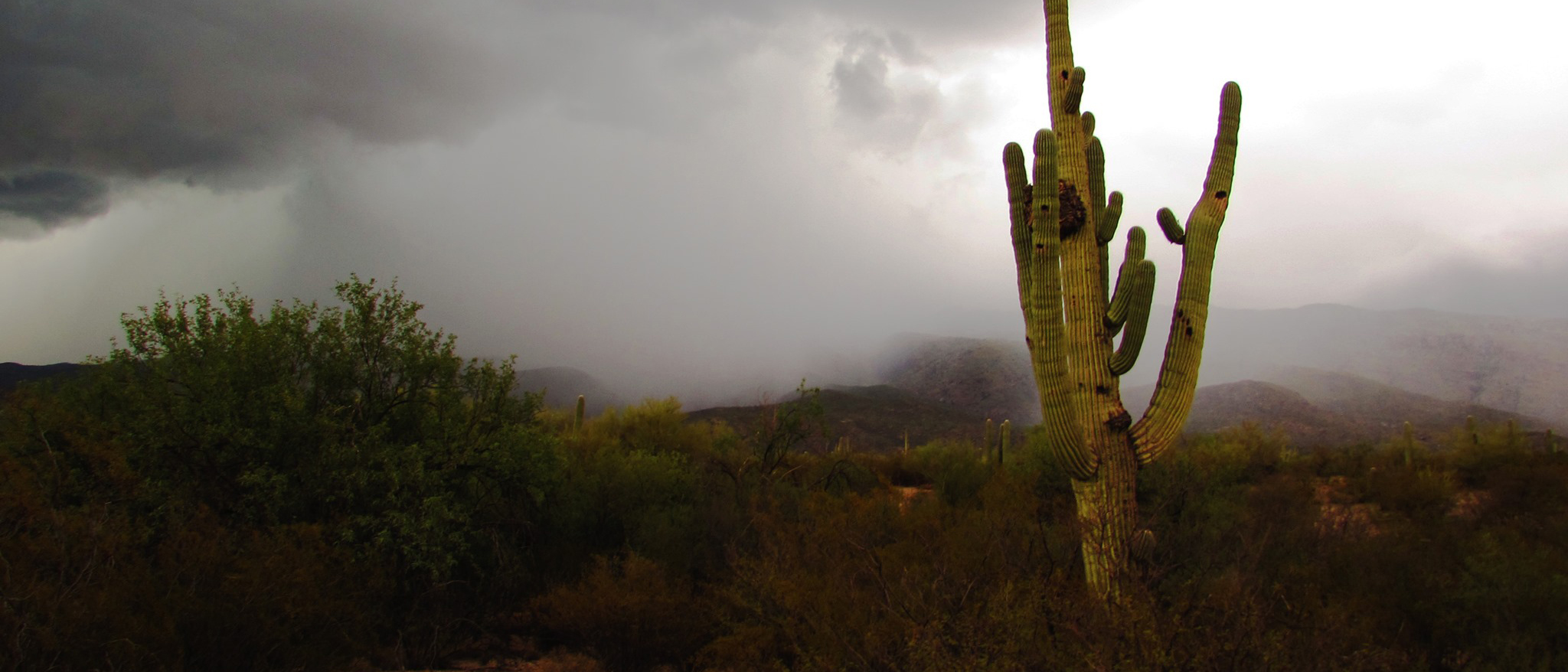 Storm clouds.