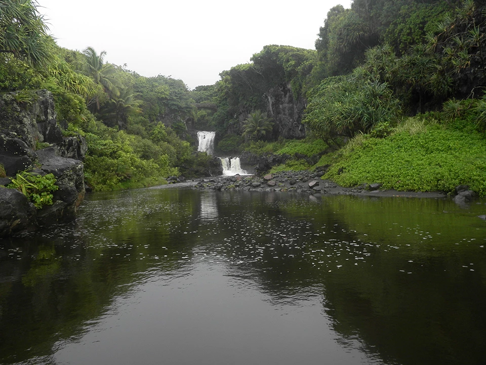 Normal flow near the mouth of a stream at Haleakalā National Park