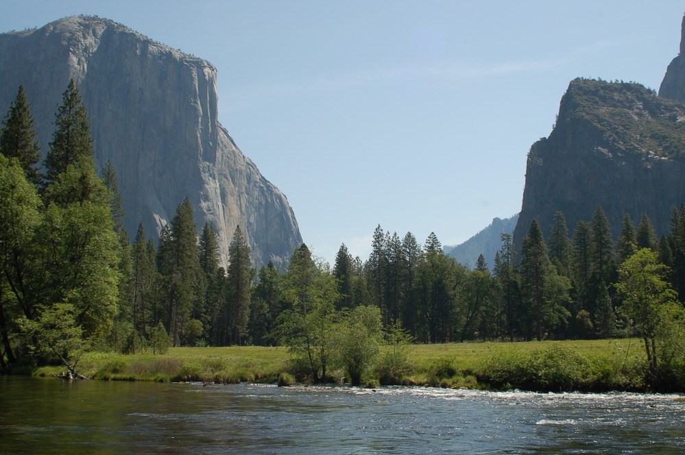 the Merced River runs surrounded by green grass with El Capitan and blue skies in the background