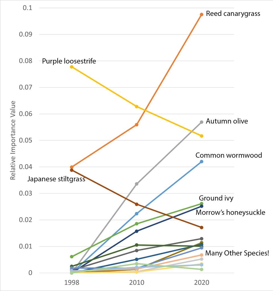 Importance of invasive plant species at the Dingmans Ferry Calcareous Riverside Outcrops and Seeps between 1998 and 2020. Importance measures the dominance of a plant species within the community.