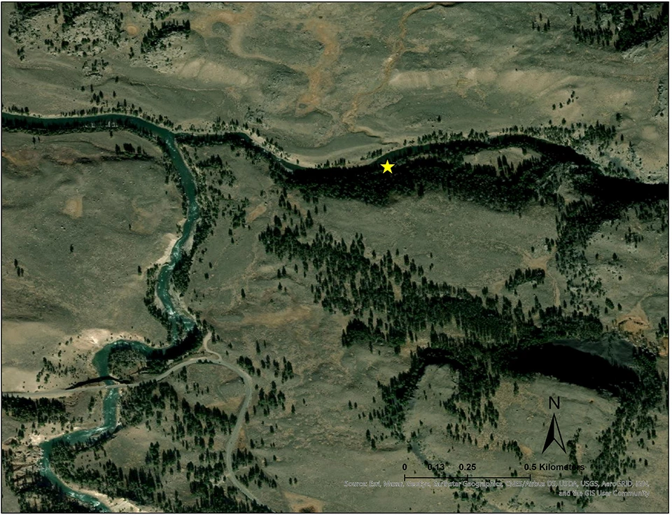 aerial photo of the Lamar River and monitoring site is starred.