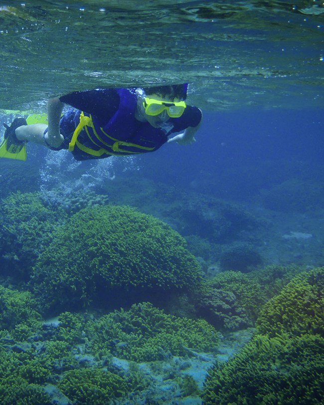 underwater reef and swimmer