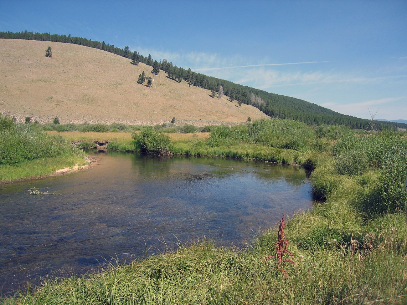 On the banks of a meandering stream that wanders through hills and pine groves.