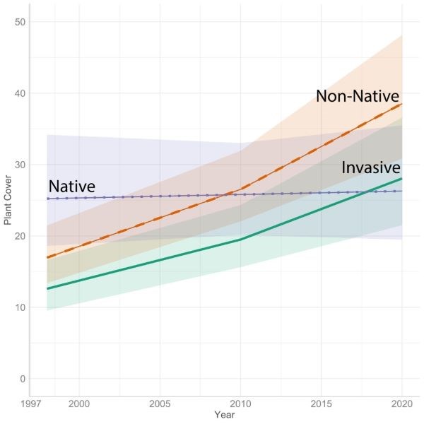 While native plant cover has remained stabled since 1998, non-native and invasive plants now cover more area than native plants in the Dingmans Ferry Calcareous Riverside Outcrops and Seeps.