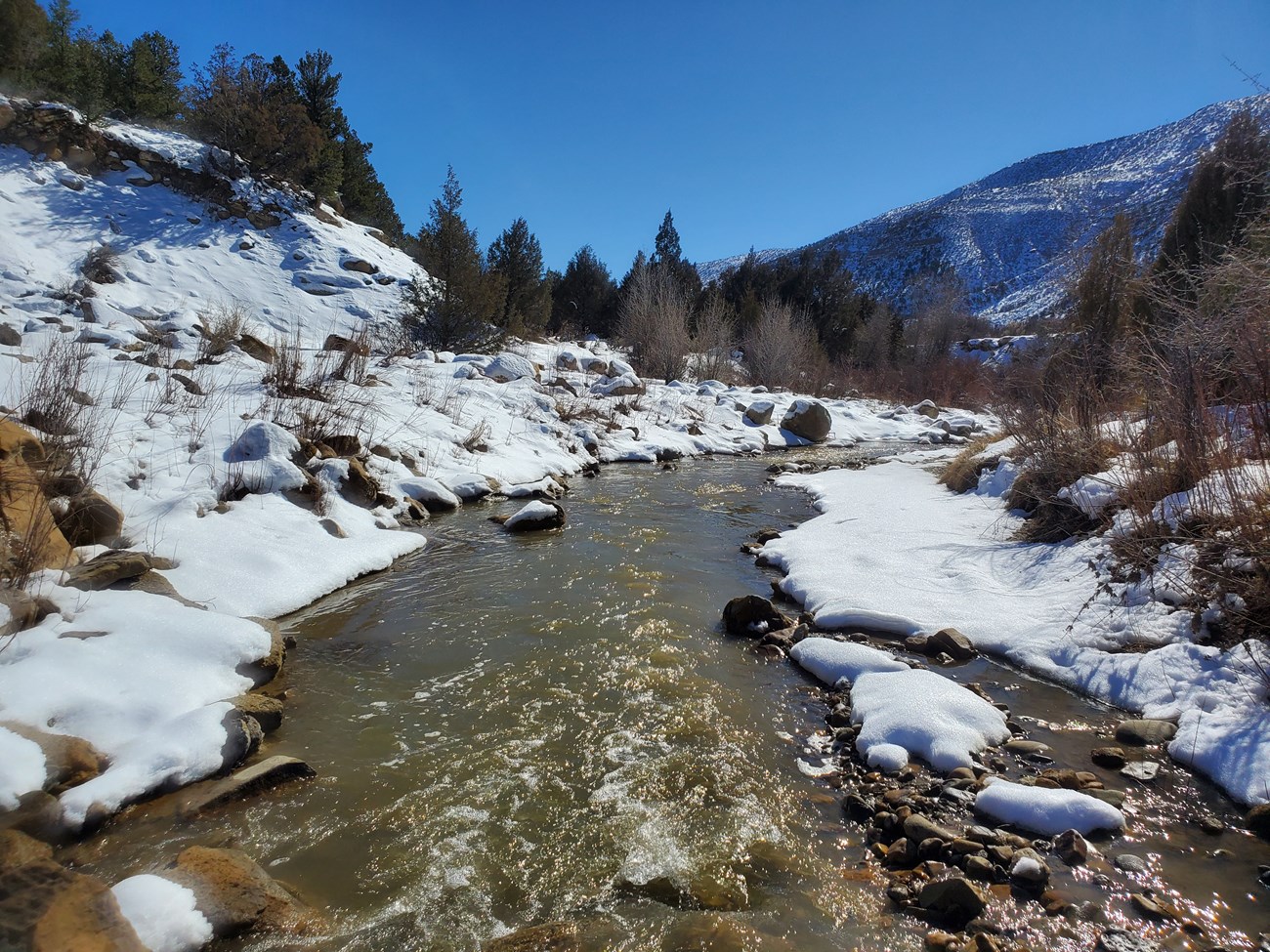 A river flowing by snowy banks and pine trees.