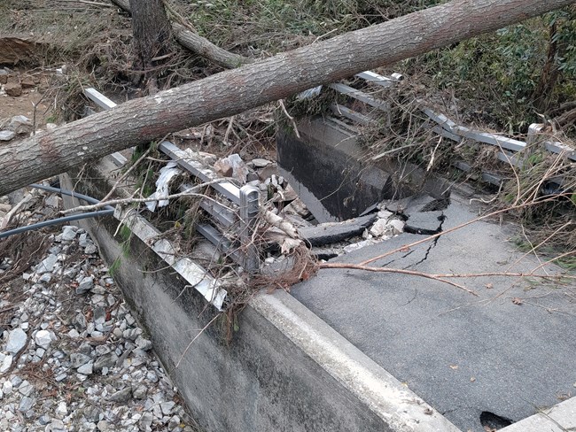 Trees, rocks, and debris over a collapsed bridge.