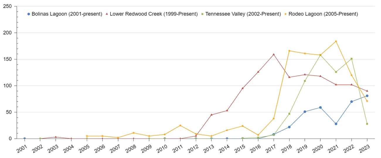Line graph showing egg mass numbers rising at four sites since 2001 overall, but declining at three out of four sites between 2022 and 2023.,