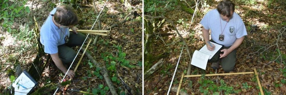 Man lays out yardsticks and records data on his knees with a clipboard