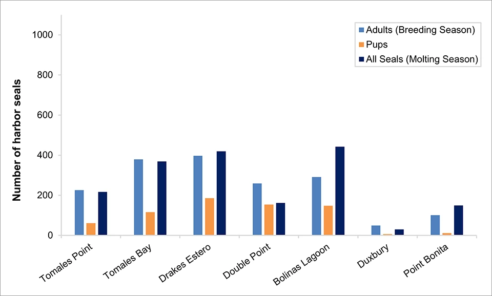 Bar graph of maximum harbor seal counts at Tomales Point, Tomales Bay, Drakes Estero, Double Point, Bolinas Lagoon, Duxbury, and Point Bonita. Drakes Estero has the highest breeding season numbers. Bolinas Lagoon has the highest molting season total.