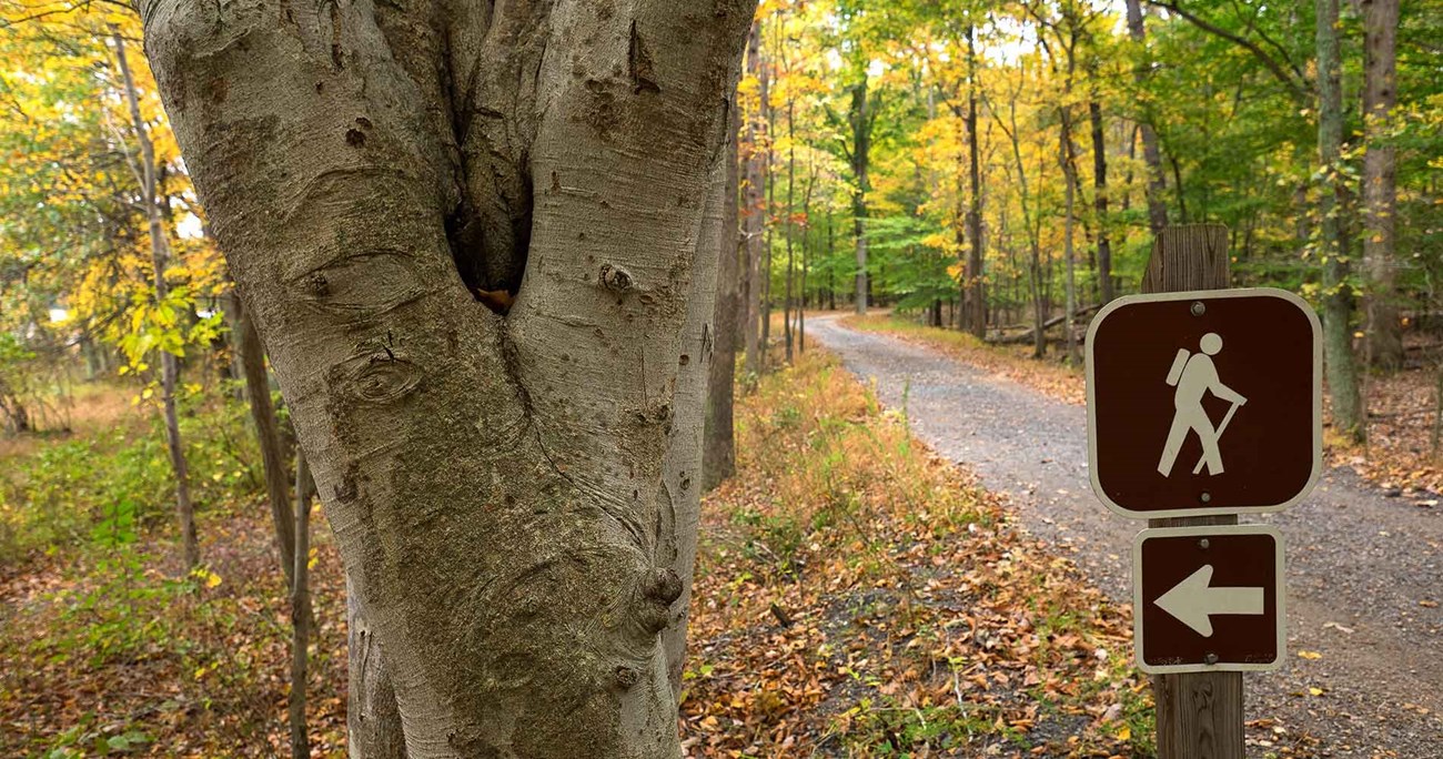 A trail sign at the start of a wooded hiking trail