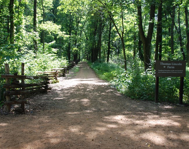trail through the woods
