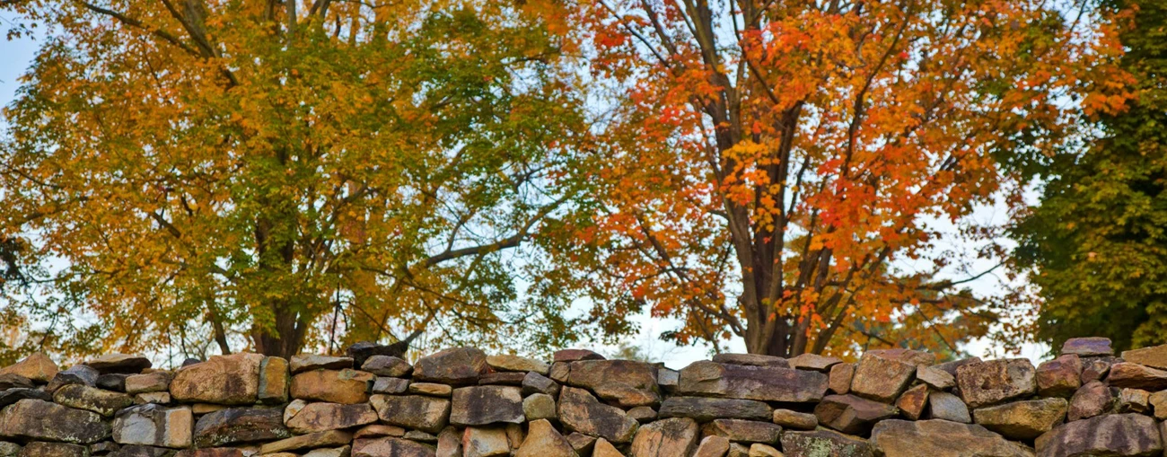 A stone wall with fall foliage