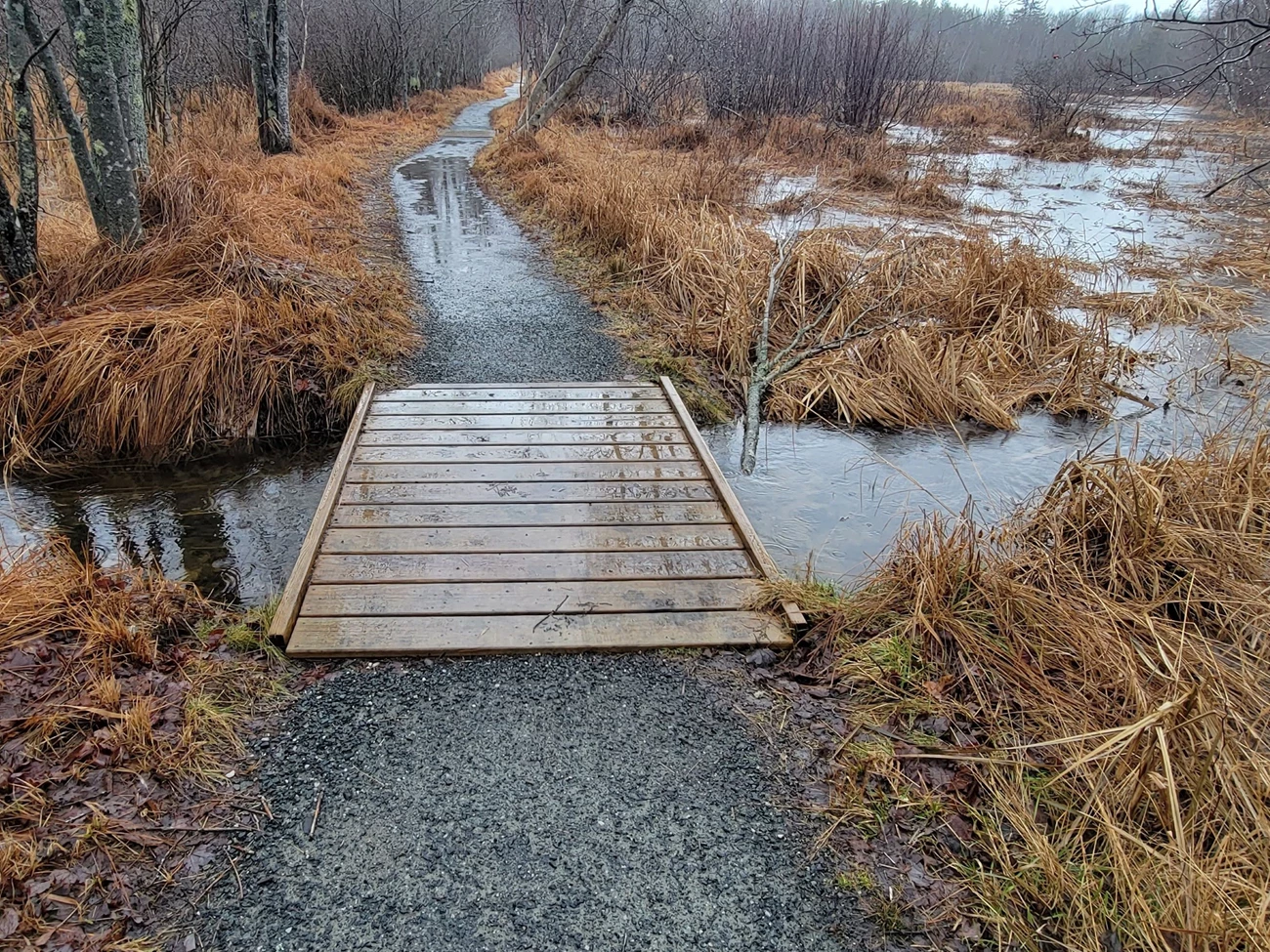 The Hemlock Road spillway, where a box culvert is planned