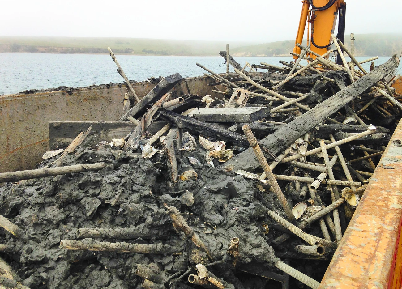 A skip full of plastic tubing, wire, treated wood and oyster shells, with the foggy bay behind