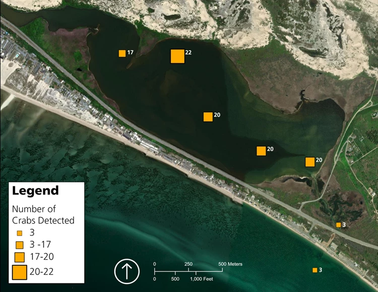 A map of East Harbor using satellite imagery showing the density of crabs detected at each receiver station.