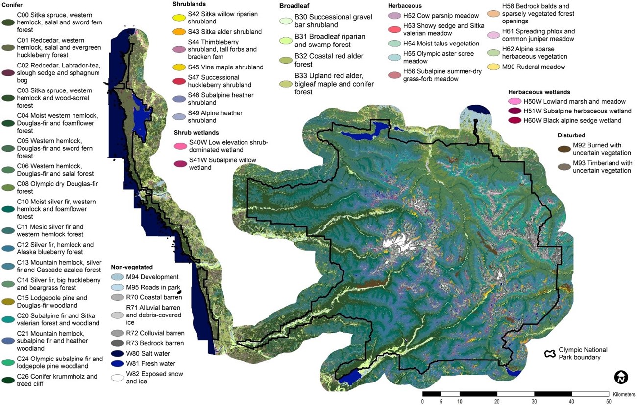 Map showing patterns of the vegetation communities in the park, including 18 conifer communities, followed by 4 broadleaf, 9 herbaceous, 7 shrubland, 9 non-vegetated, 3 herbaceous wetland, and 2 shrub wetland communities as well as 2 disturbed classes.