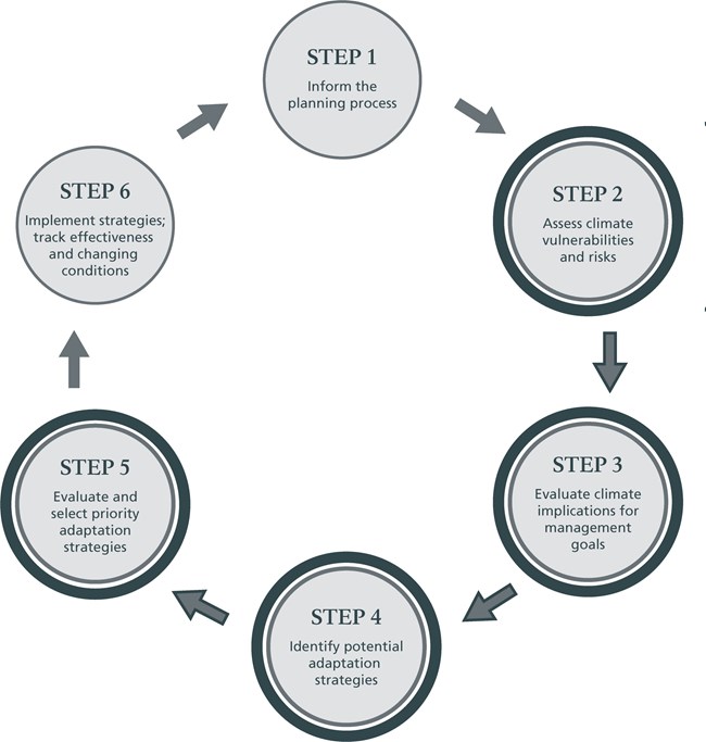 Flow chart of the NPS climate adaptation planning process, with steps 2 to 5 highlighted